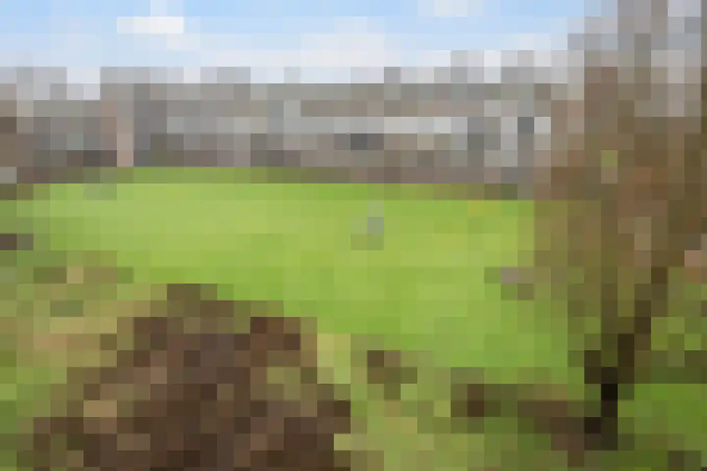 van Blankenheimstraat 146 Vlaardingen thumbnail 28