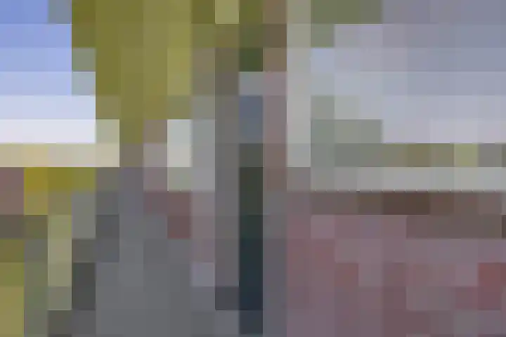 van Blankenheimstraat 150 Vlaardingen thumbnail 6