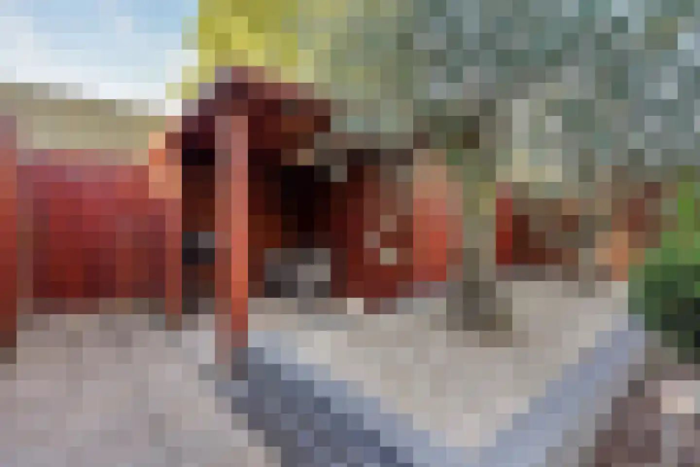 van Blankenheimstraat 3 Vlaardingen thumbnail 18