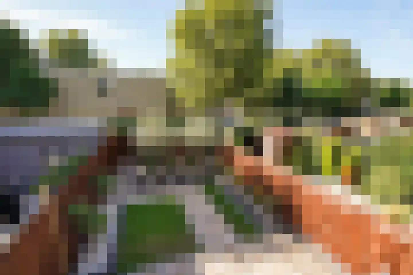 van Blankenheimstraat 3 Vlaardingen thumbnail 31