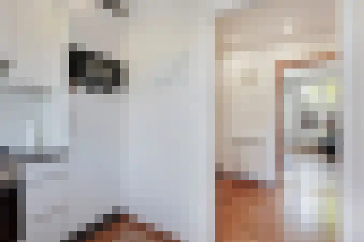 van Blankenheimstraat 3 Vlaardingen thumbnail 8