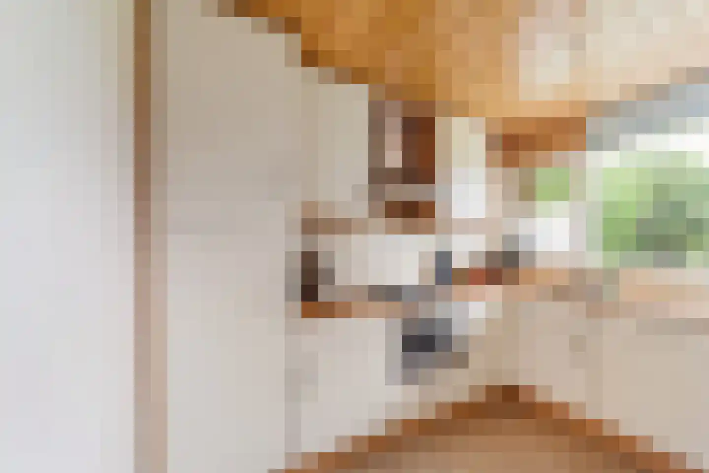 van Blankenheimstraat 66 Vlaardingen thumbnail 15