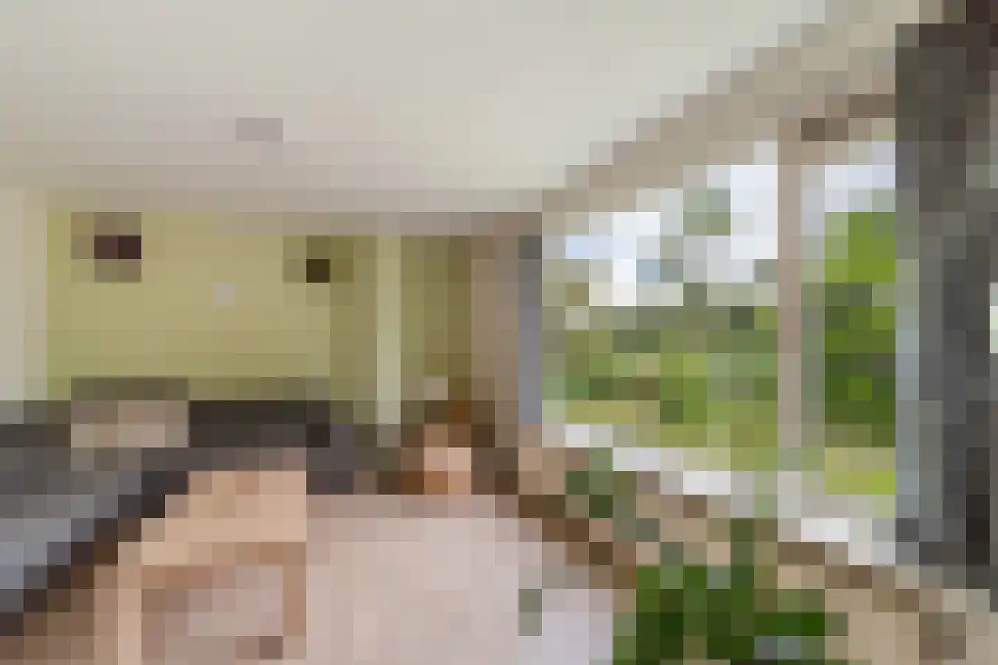 van Blankenheimstraat 66 Vlaardingen thumbnail 9