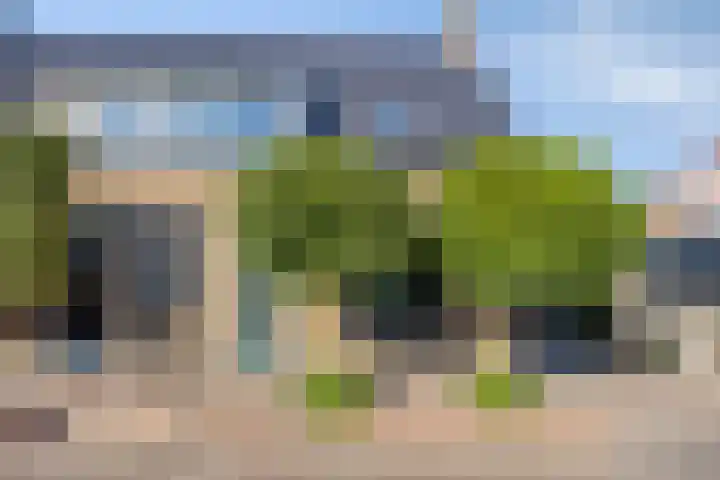 van Blankensteinstraat 1 Heenvliet