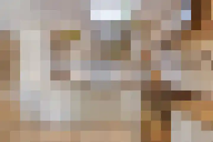 van Blankensteinstraat 1 Heenvliet thumbnail 11