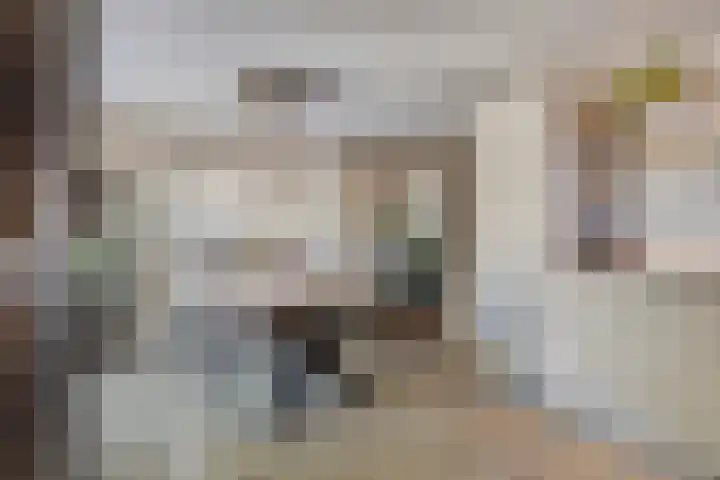van Blankensteinstraat 1 Heenvliet thumbnail 12