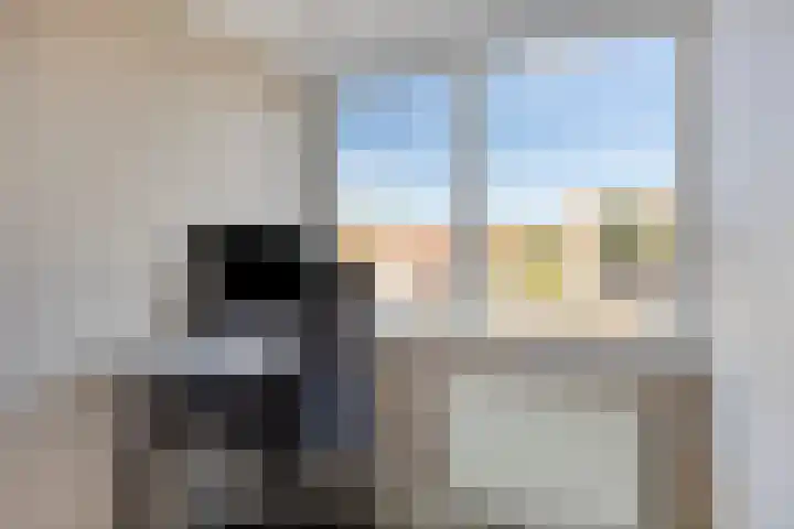 van Blankensteinstraat 1 Heenvliet thumbnail 19