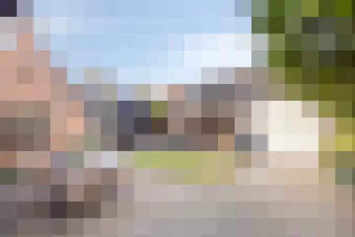 van Blankensteinstraat 1 Heenvliet thumbnail 22