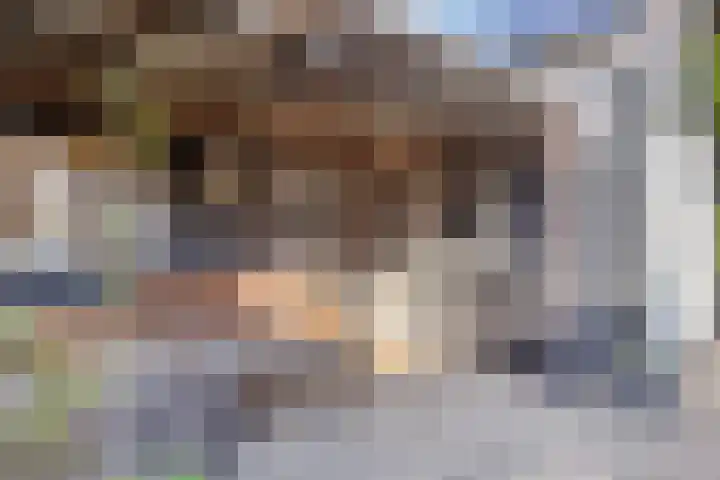 van Blankensteinstraat 1 Heenvliet thumbnail 23
