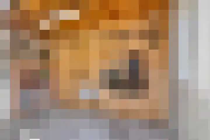 van Blankensteinstraat 1 Heenvliet thumbnail 26