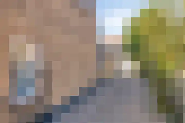 van Blankensteinstraat 1 Heenvliet thumbnail 28