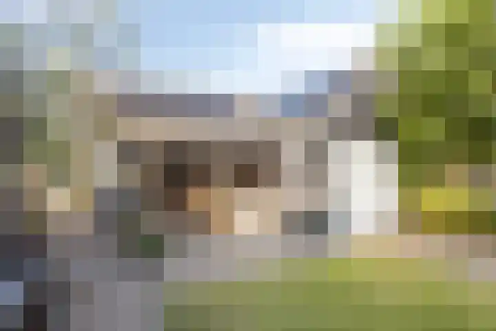 van Blankensteinstraat 1 Heenvliet foto 3