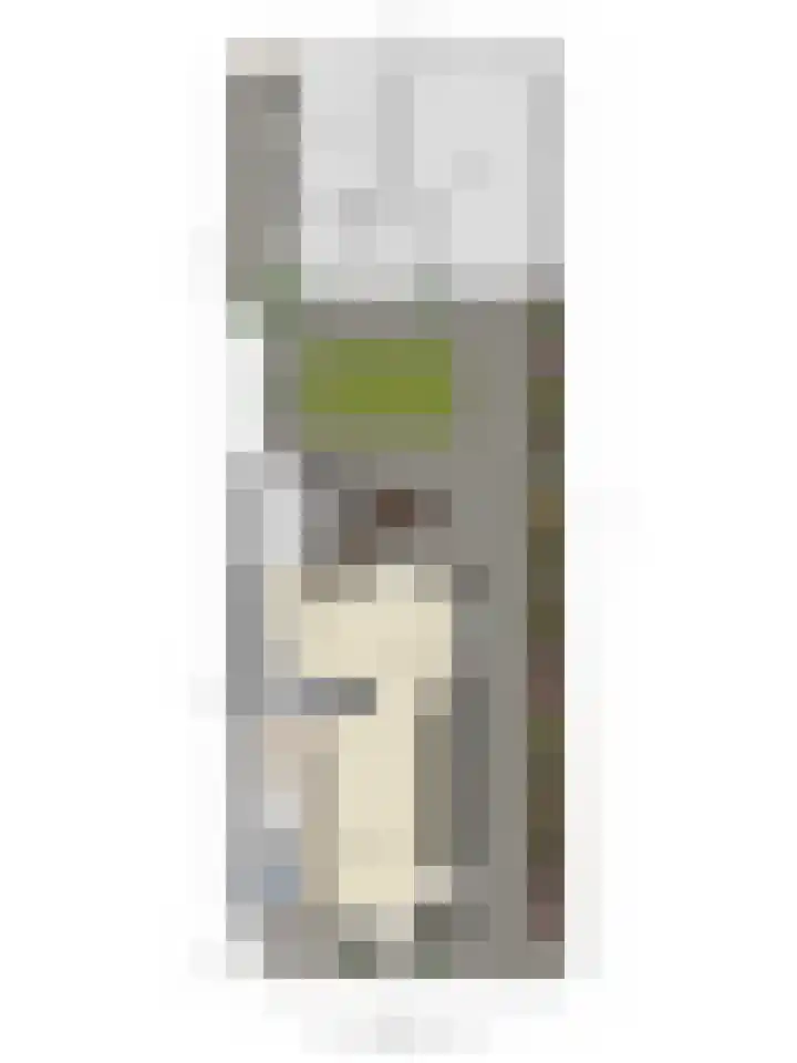 van Blankensteinstraat 1 Heenvliet thumbnail 30