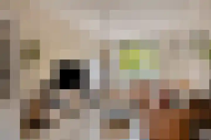 van Blankensteinstraat 1 Heenvliet thumbnail 4