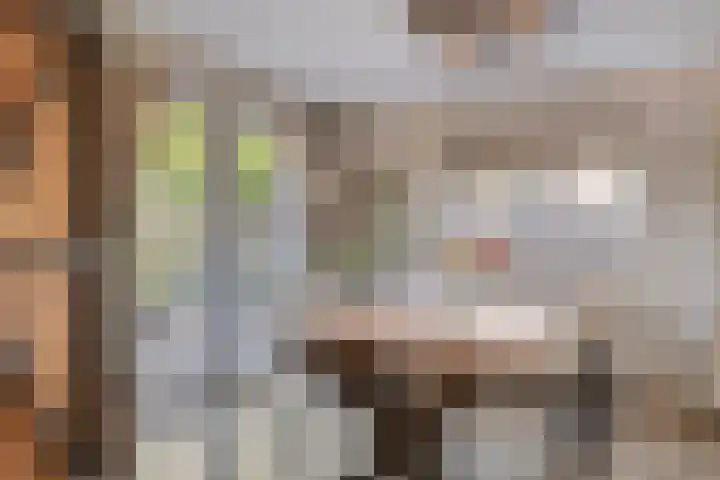 van Blankensteinstraat 1 Heenvliet thumbnail 8