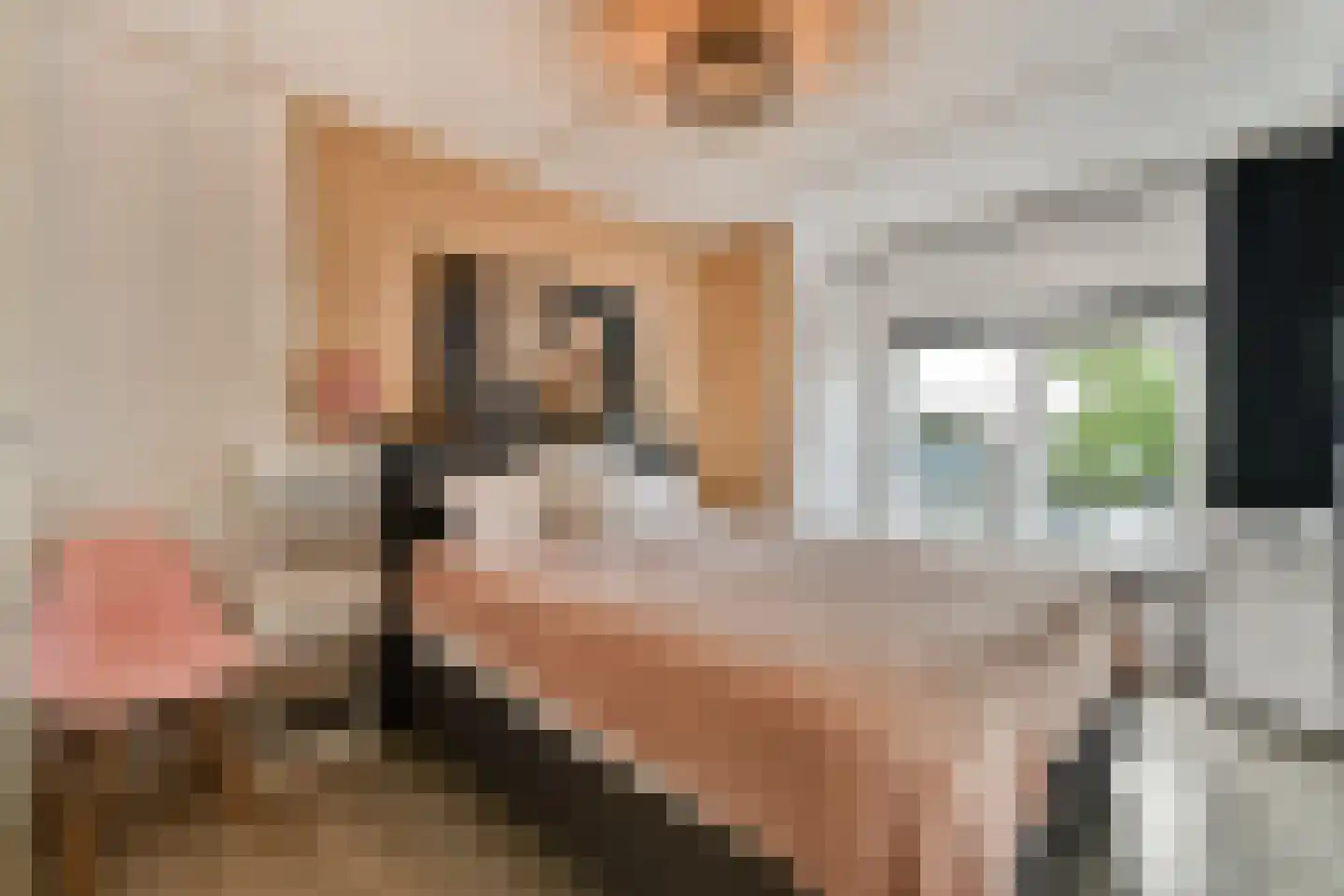 van Blankensteinstraat 10 Heenvliet thumbnail 11