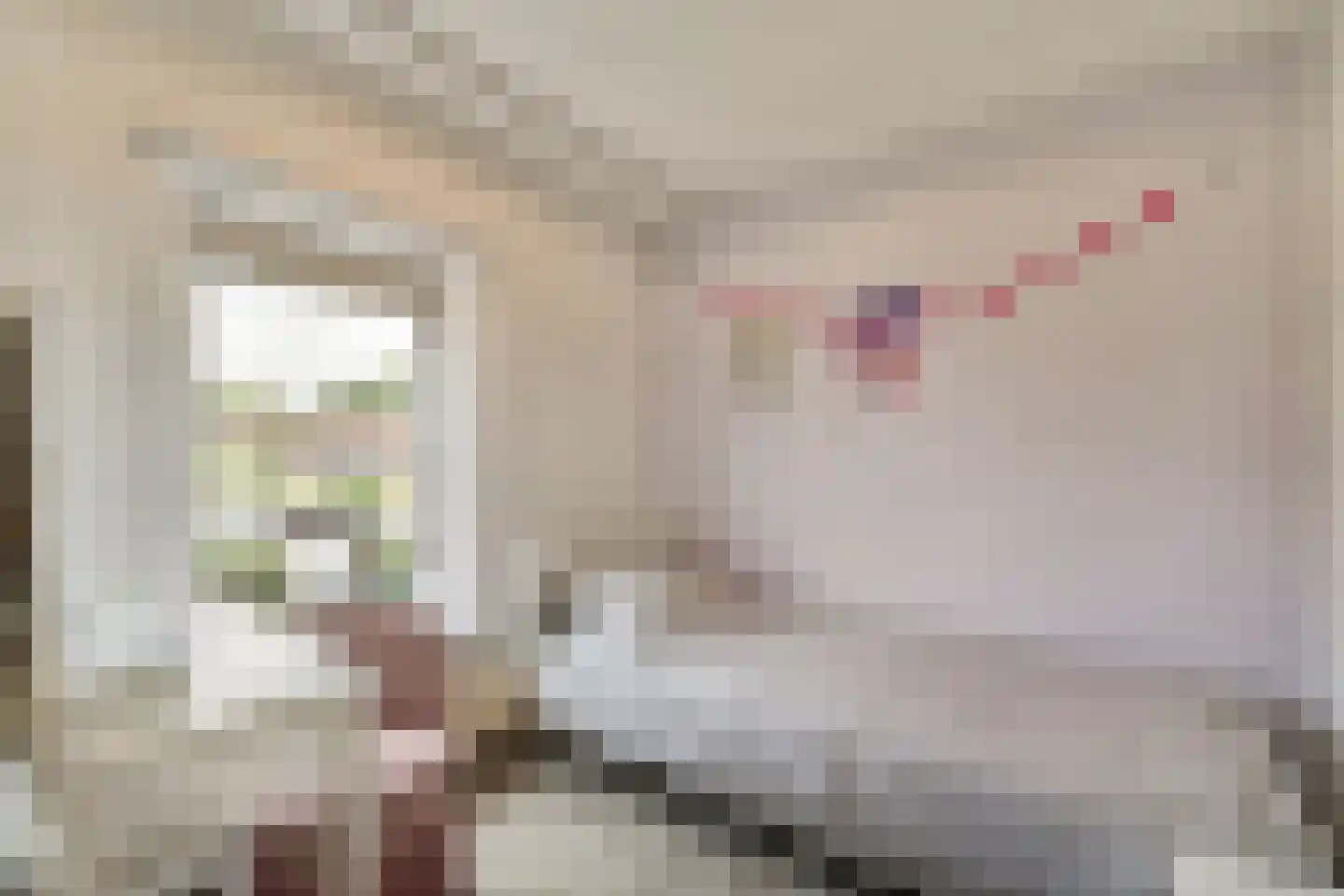 van Blankensteinstraat 10 Heenvliet thumbnail 13
