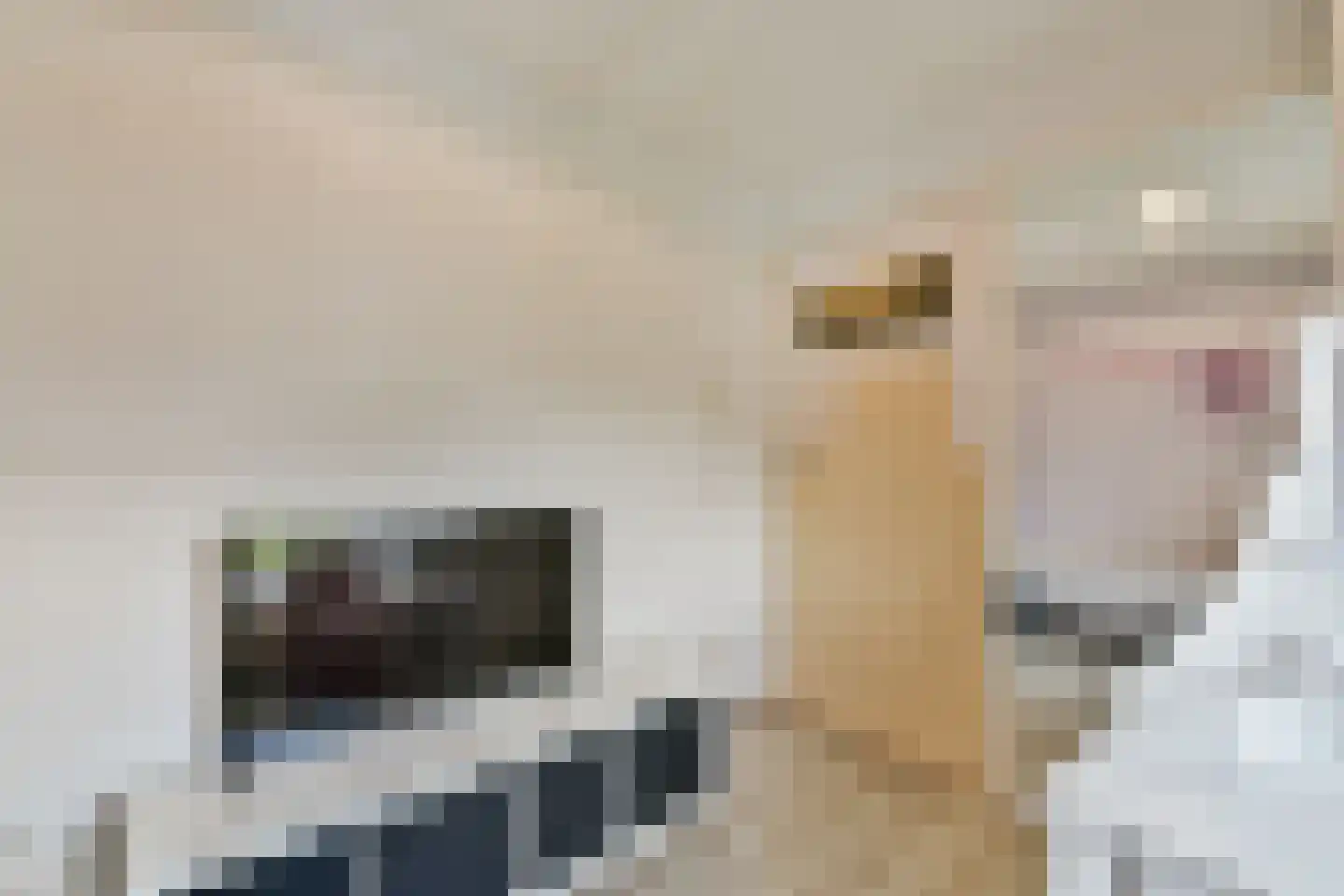 van Blankensteinstraat 10 Heenvliet thumbnail 14