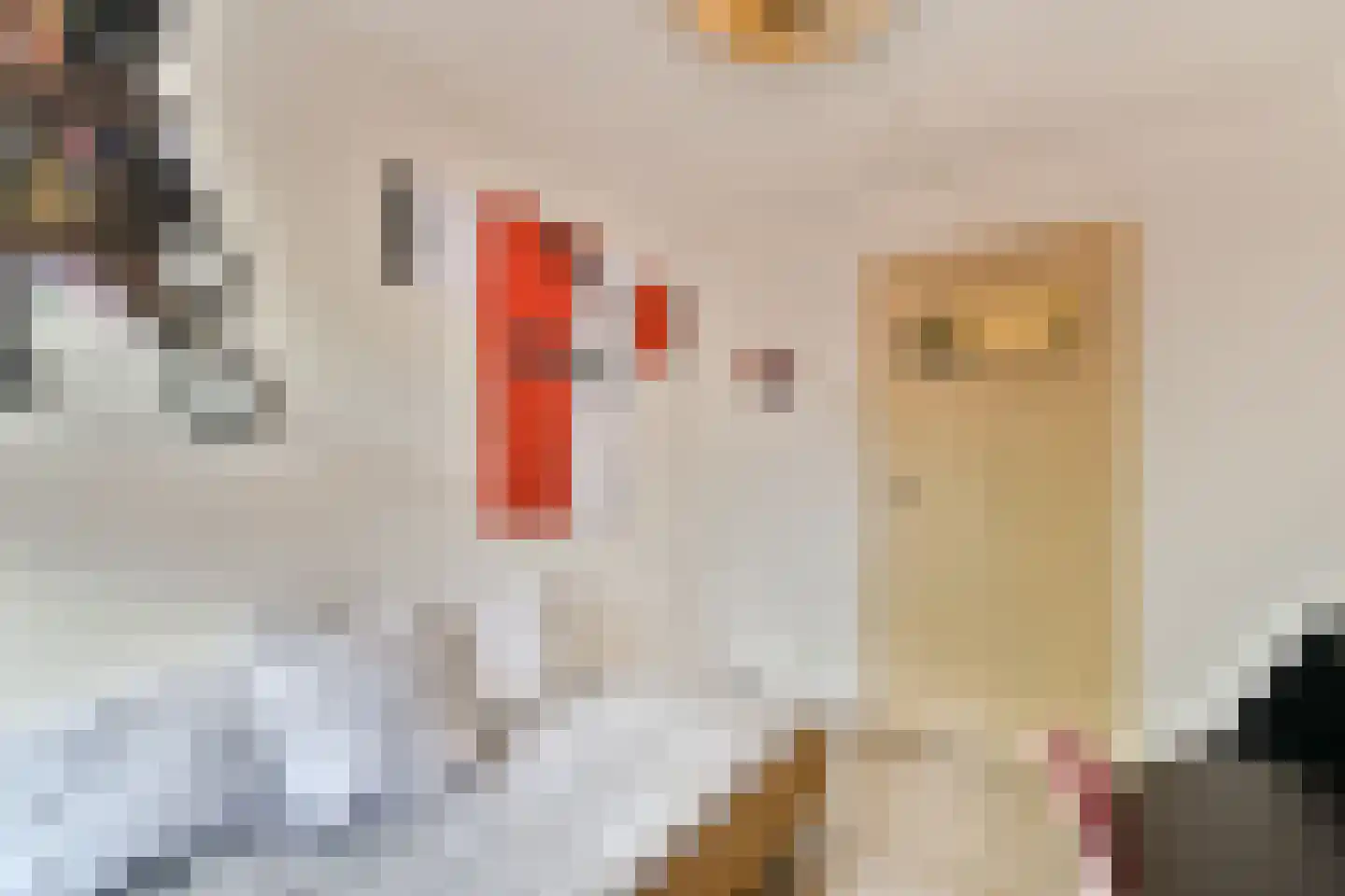 van Blankensteinstraat 10 Heenvliet thumbnail 15