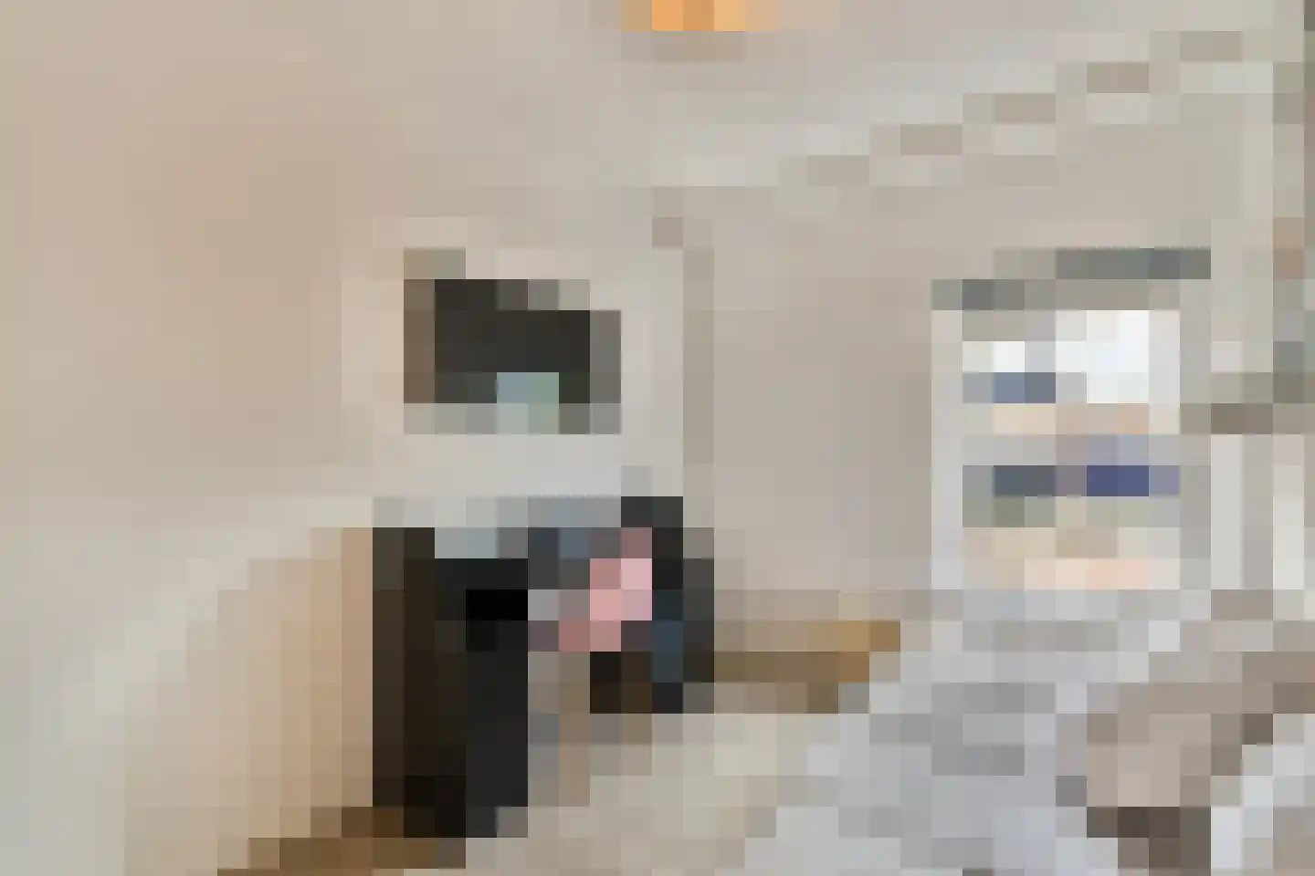 van Blankensteinstraat 10 Heenvliet thumbnail 16