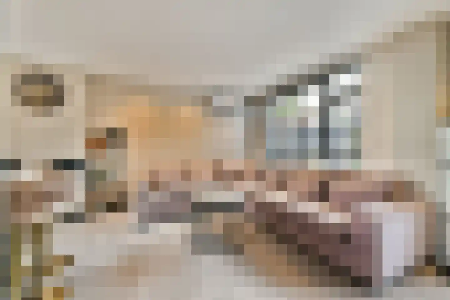 van Blankensteinstraat 10 Heenvliet thumbnail 7