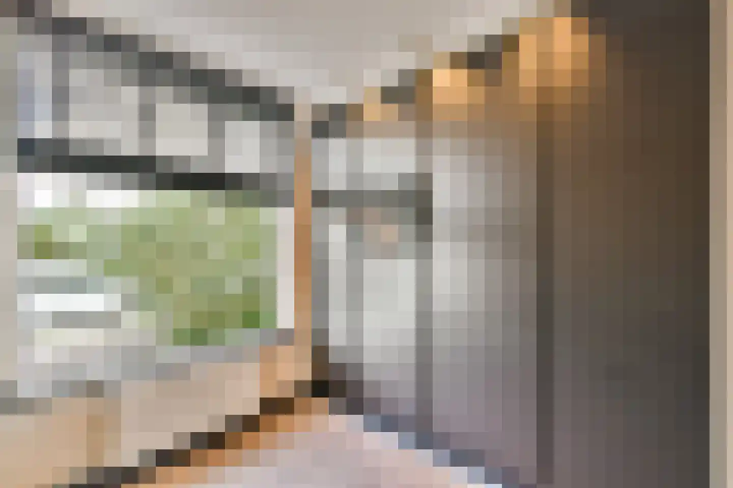 van Blankensteinstraat 10 Heenvliet thumbnail 9