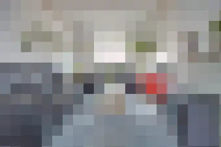 van Blankensteinstraat 8 Heenvliet thumbnail 12