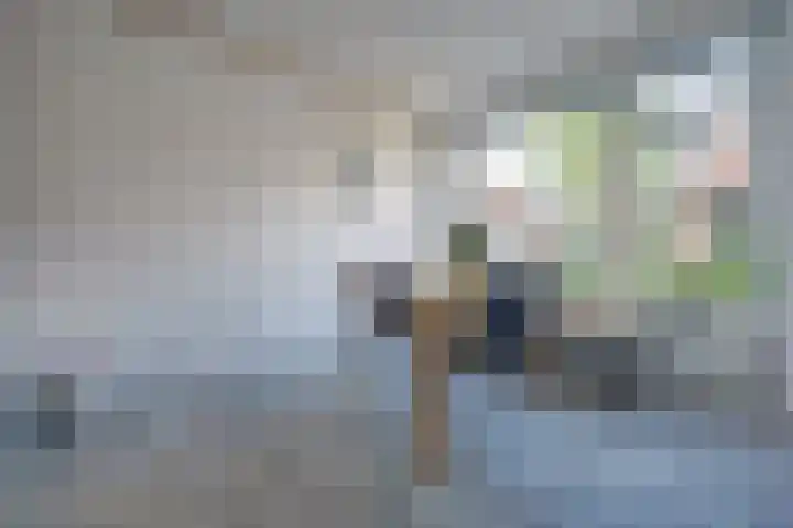 van Blankensteinstraat 8 Heenvliet thumbnail 15