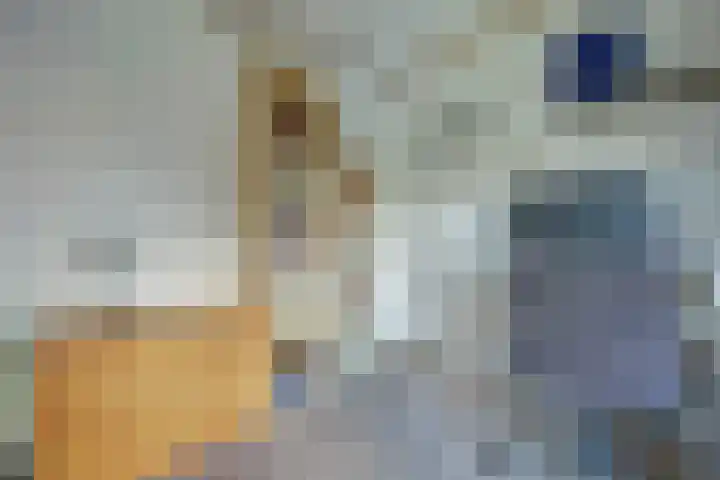 van Blankensteinstraat 8 Heenvliet thumbnail 27