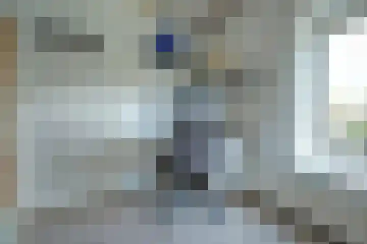 van Blankensteinstraat 8 Heenvliet thumbnail 28