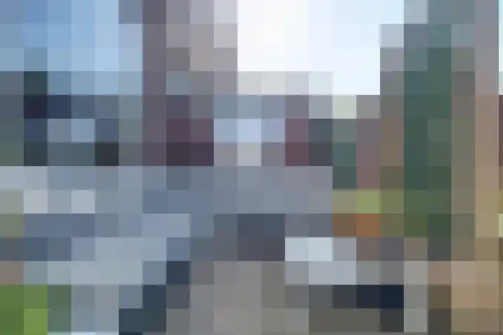 van Blankensteinstraat 8 Heenvliet thumbnail 30