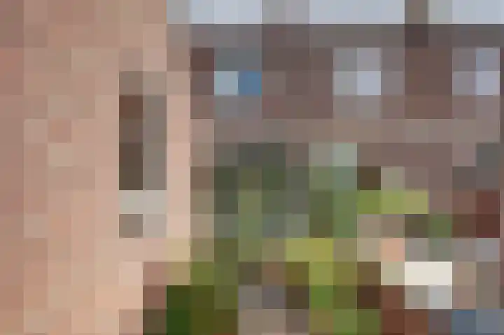 van Blankensteinstraat 8 Heenvliet thumbnail 31