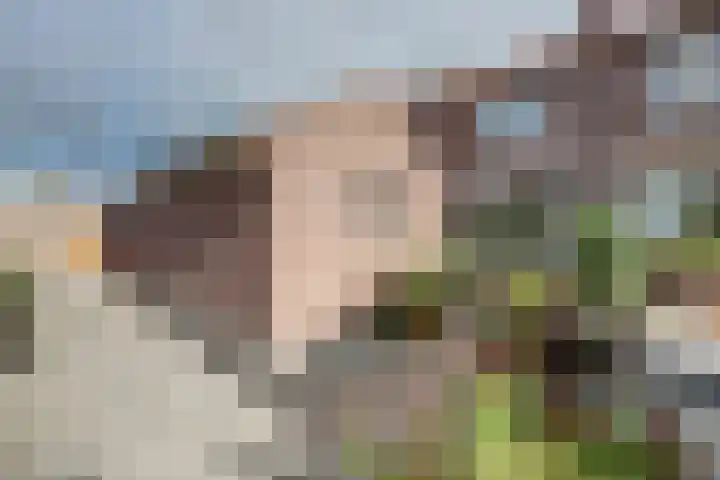 van Blankensteinstraat 8 Heenvliet thumbnail 32