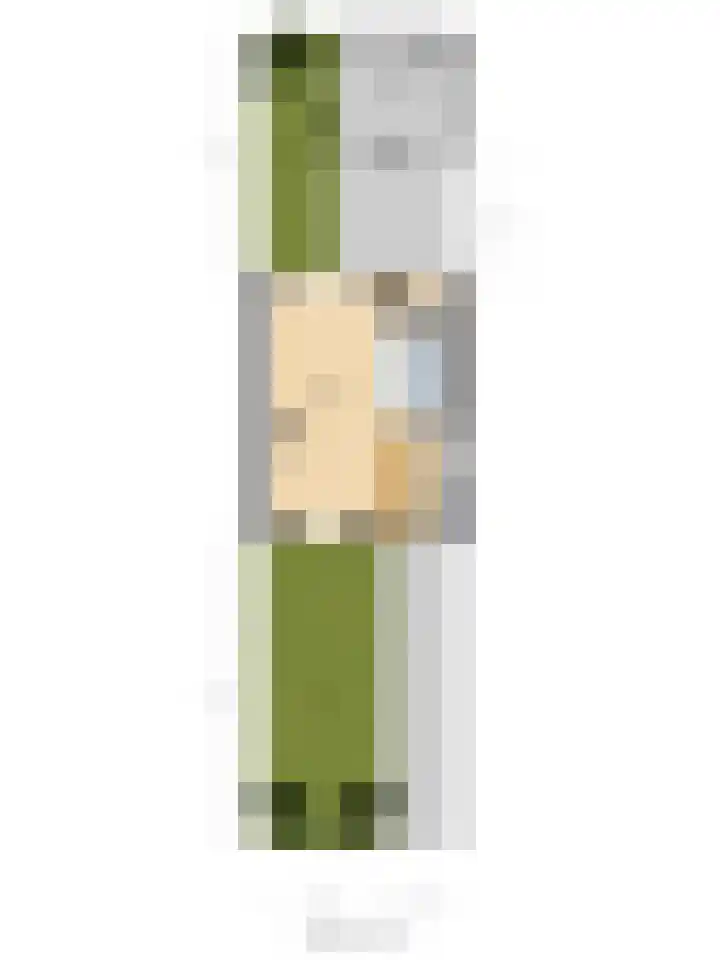 van Blankensteinstraat 8 Heenvliet thumbnail 36