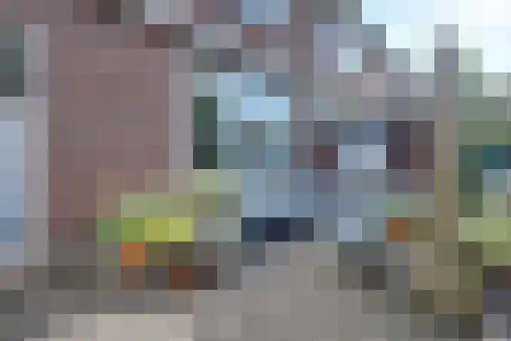 van Blankensteinstraat 8 Heenvliet thumbnail 5