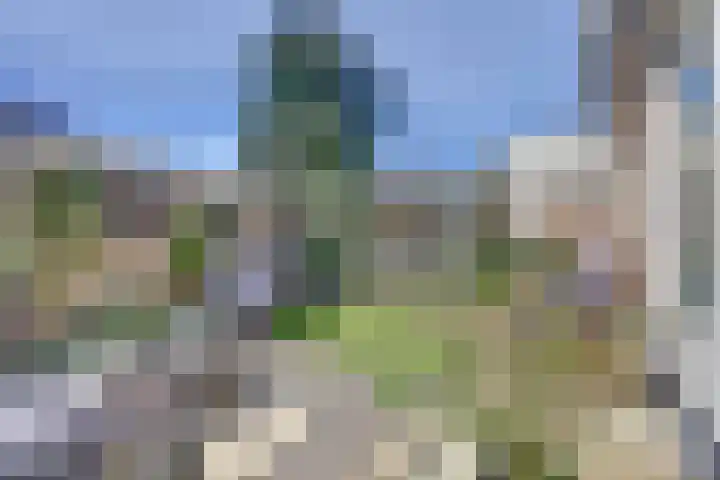 van Blarcumlaan 25 Ankeveen thumbnail 6