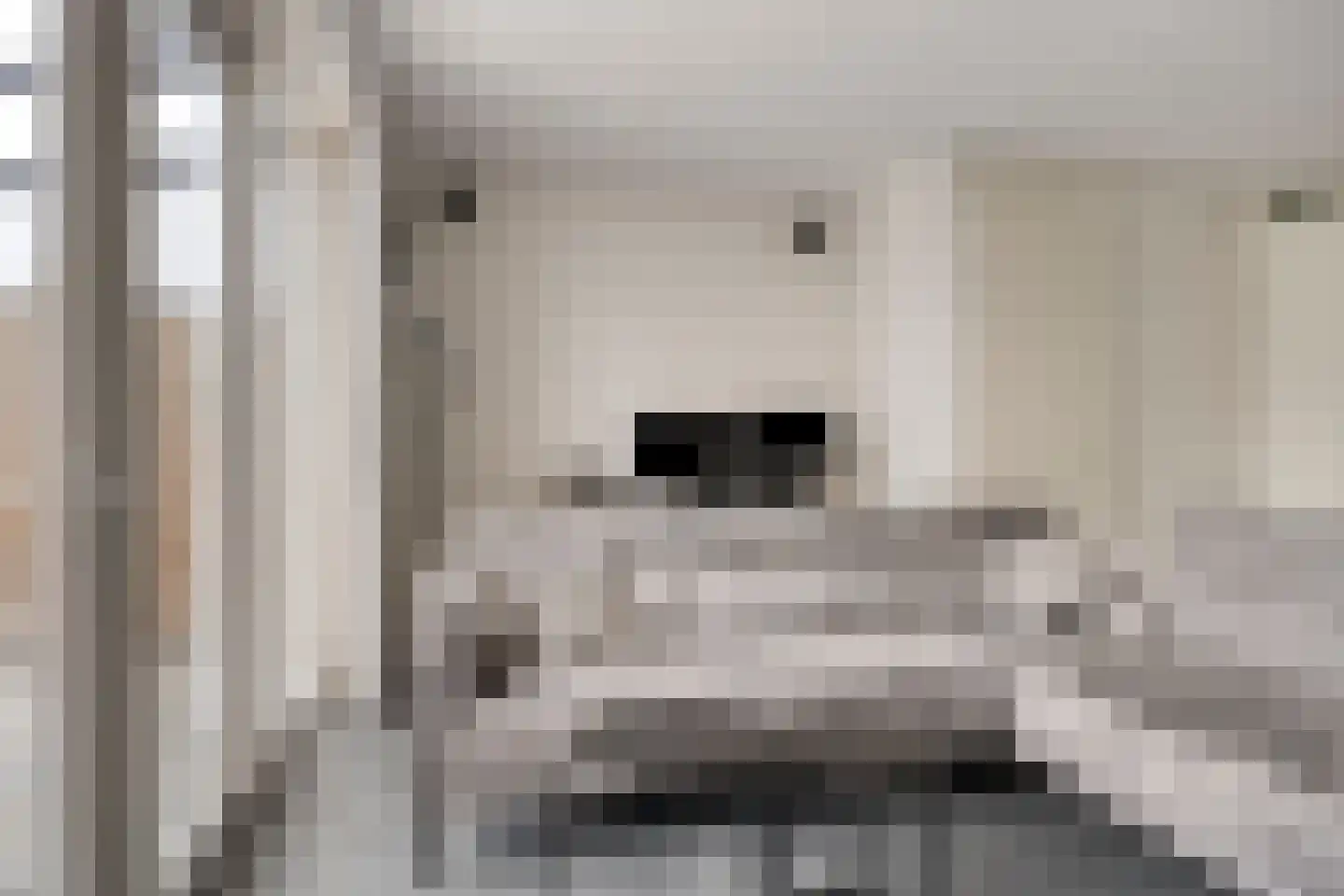 Van Bleijswijckstraat 21 Tilburg thumbnail 5