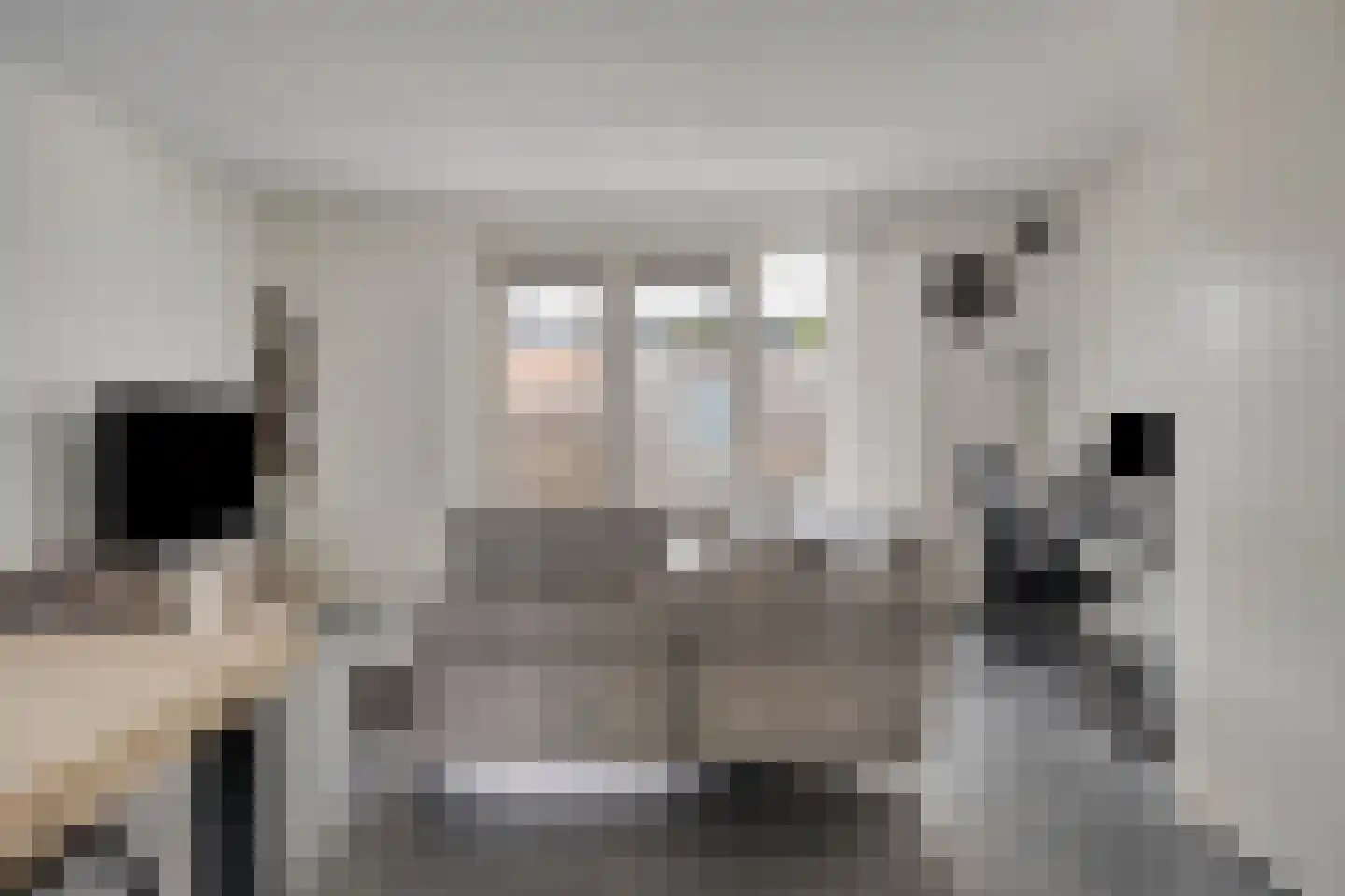 Van Bleijswijckstraat 21 Tilburg thumbnail 7