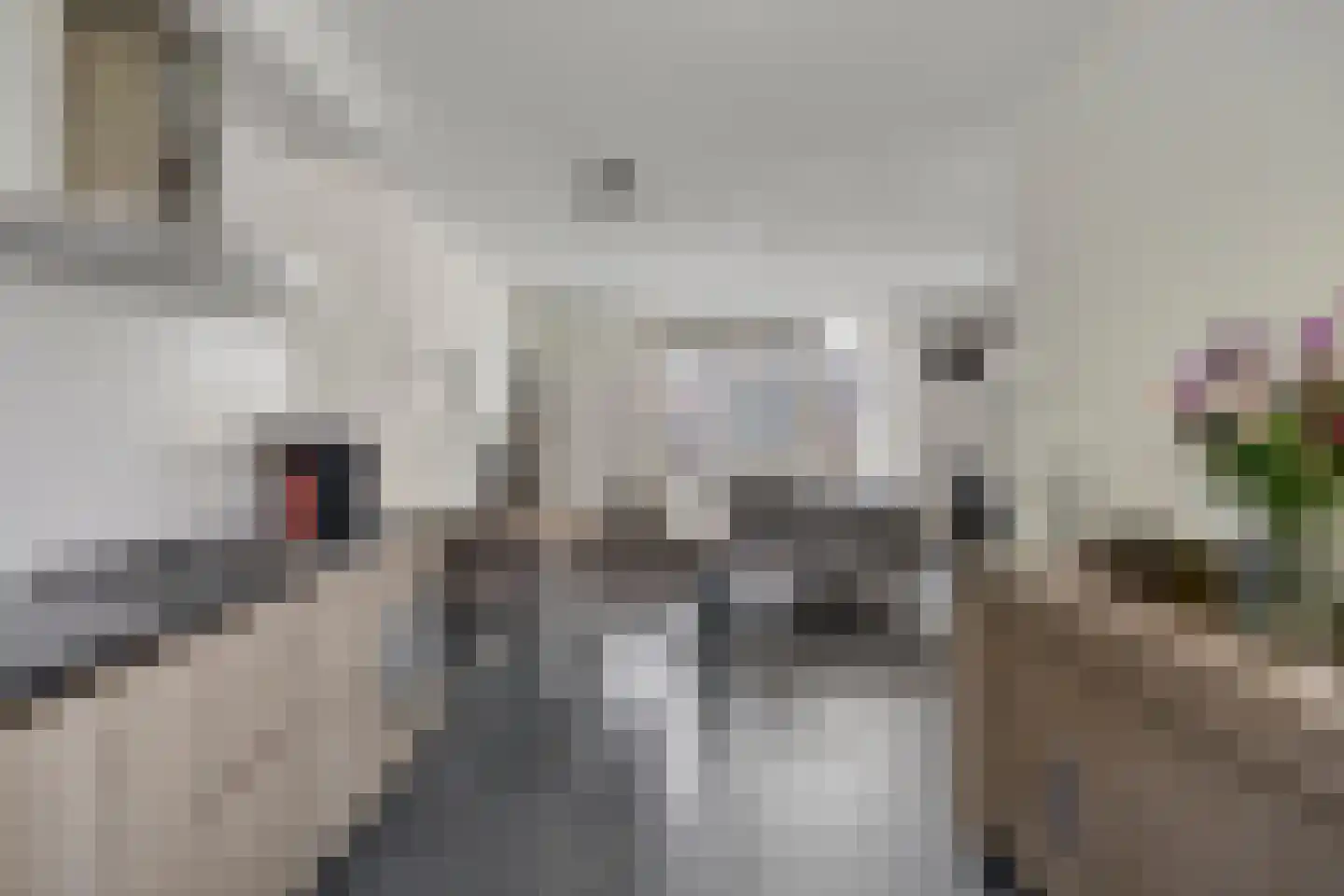 Van Bleijswijckstraat 21 Tilburg thumbnail 8