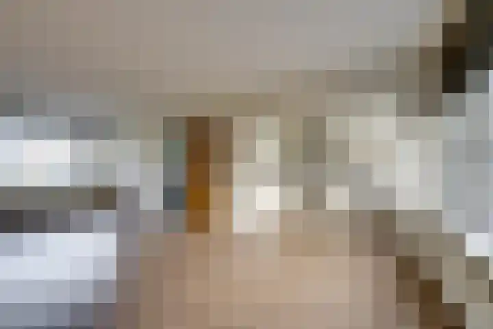 van Bleiswijkhof 10 Rijen thumbnail 12