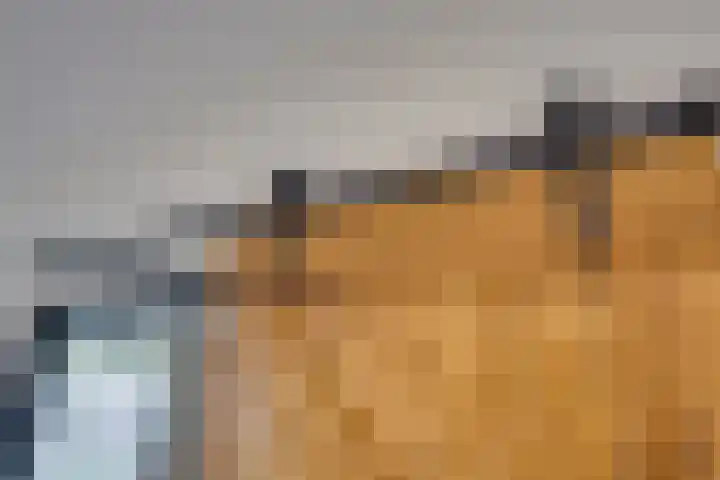 van Bleiswijkhof 10 Rijen thumbnail 15