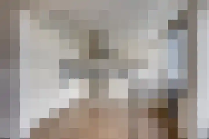 van Bleiswijkhof 10 Rijen thumbnail 16