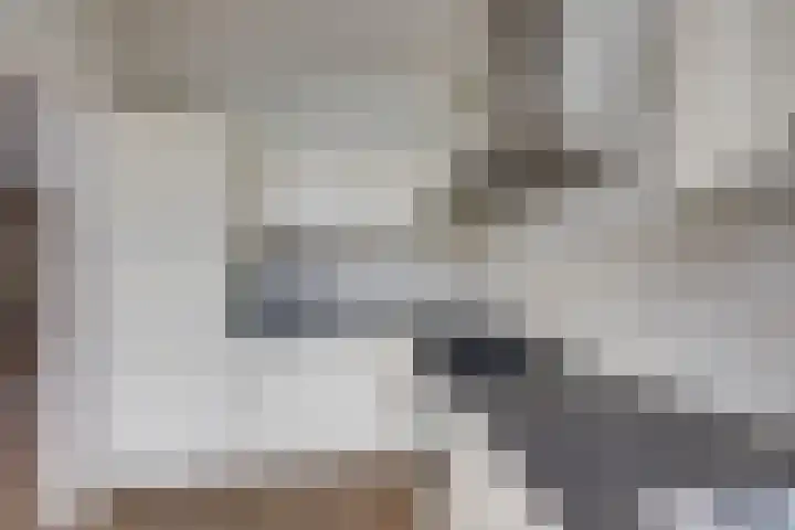 van Bleiswijkhof 10 Rijen thumbnail 17