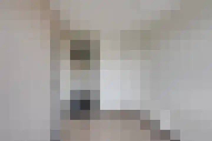 van Bleiswijkhof 10 Rijen thumbnail 28