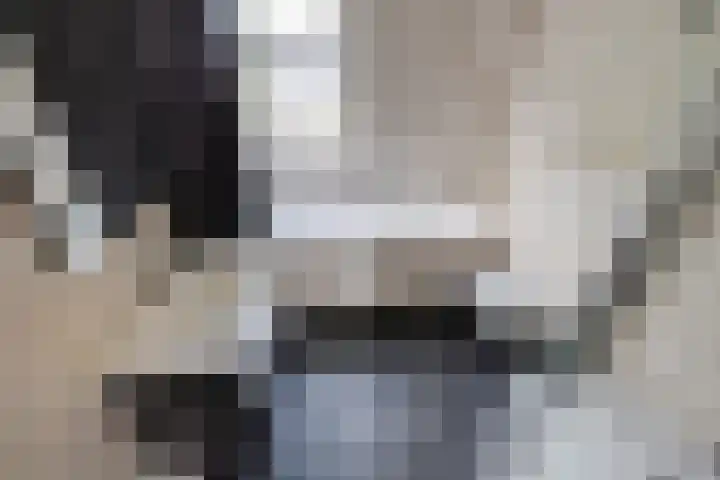 van Bleiswijkhof 10 Rijen thumbnail 29