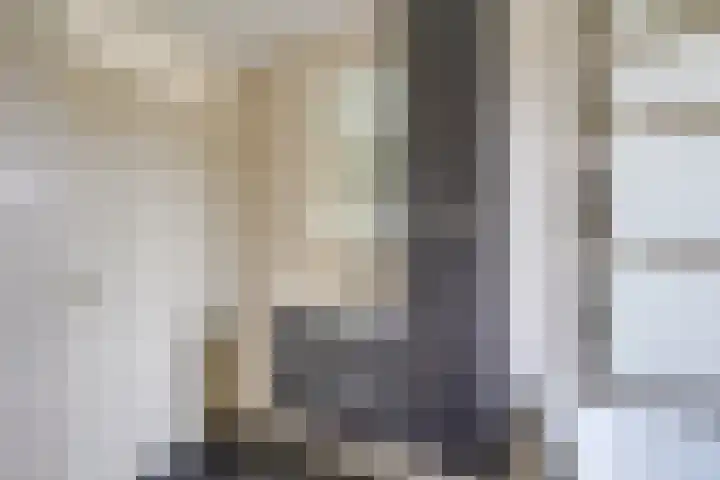 van Bleiswijkhof 10 Rijen thumbnail 32
