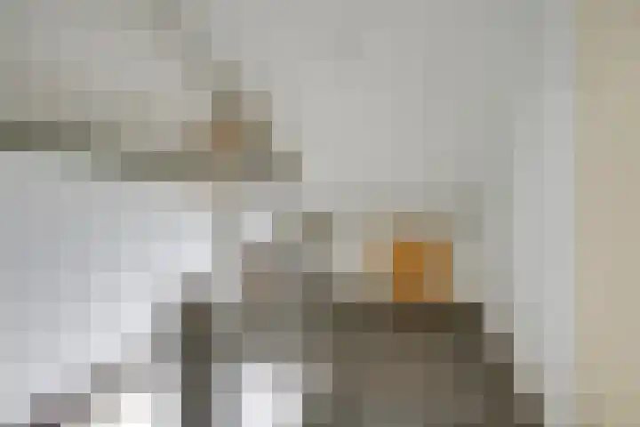 van Bleiswijkhof 10 Rijen thumbnail 33