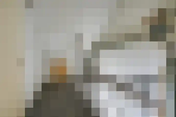 van Bleiswijkhof 10 Rijen thumbnail 34
