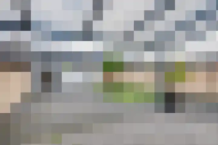 van Bleiswijkhof 10 Rijen thumbnail 40