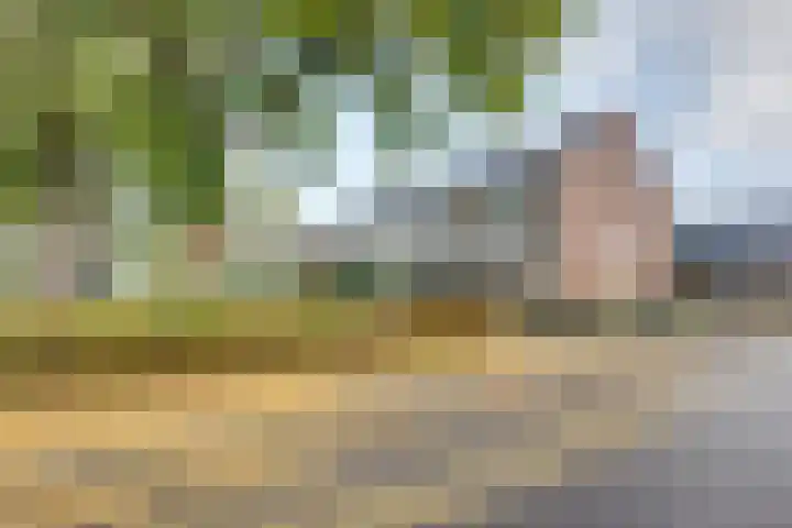 van Bleiswijkhof 10 Rijen thumbnail 5